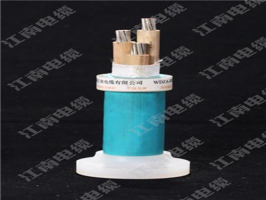 IE級核電站用電力電纜